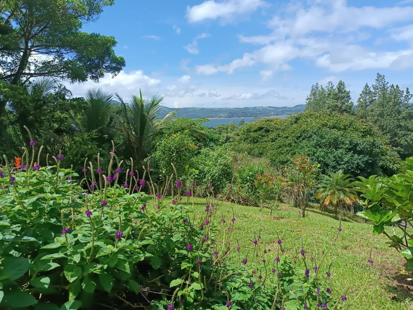 Lakegardens Arenal Condos Nuevo Arenal Kültér fotó