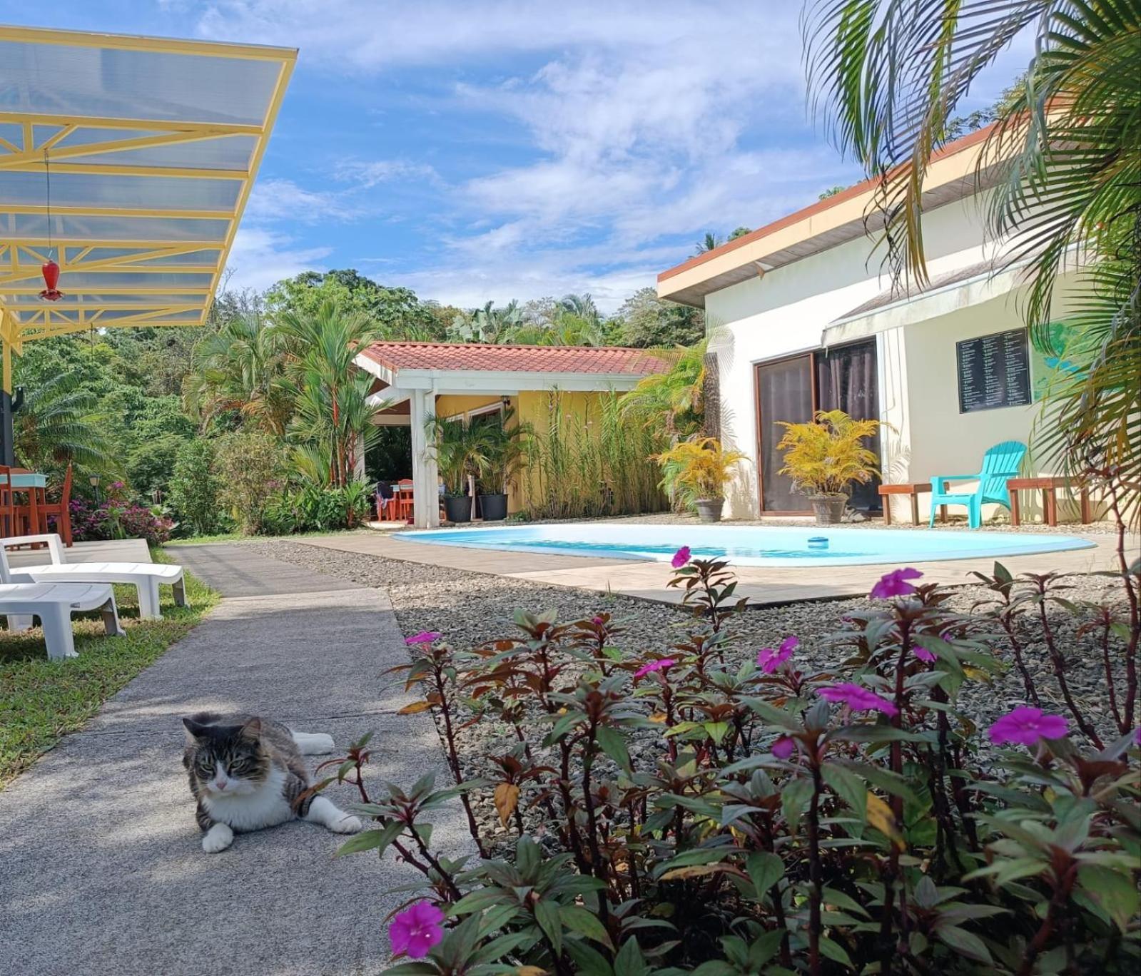 Lakegardens Arenal Condos Nuevo Arenal Kültér fotó